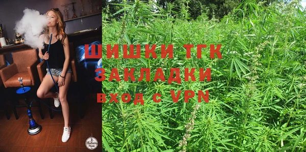 шишки Семилуки