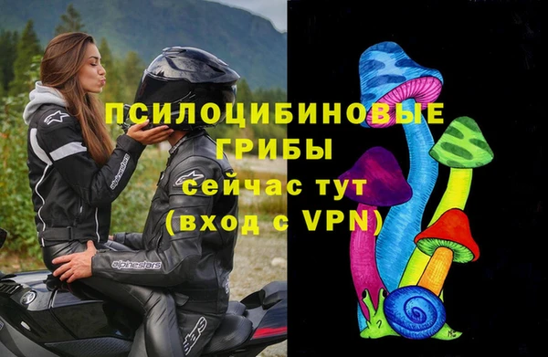 эйфоретик Семикаракорск