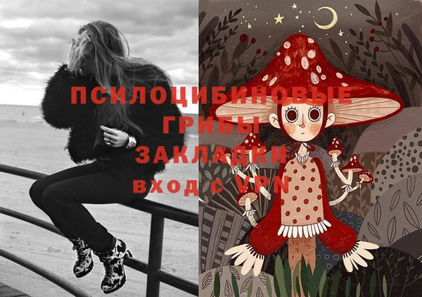шишки Семилуки
