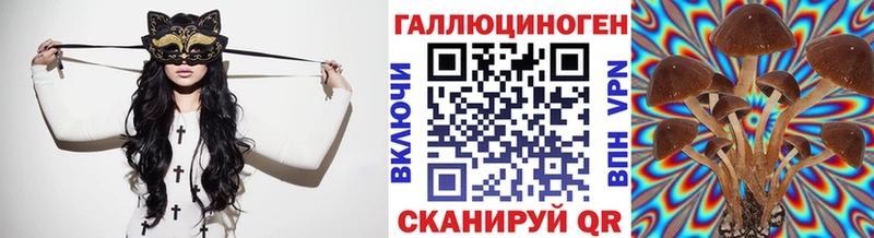 Псилоцибиновые грибы MAGIC MUSHROOMS  Купить  Чернушка 